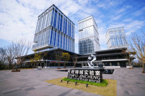 四川出臺(tái)意見支持成都加快高質(zhì)量發(fā)展