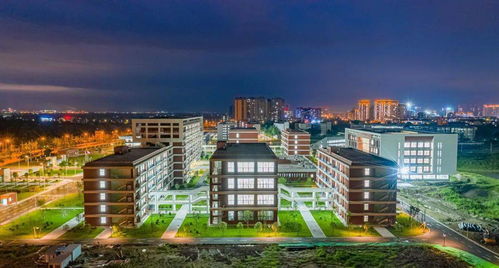 電子科技大學(xué)成都學(xué)院什邡校區(qū)驚艷亮相，金秋九月將迎來(lái)首批師生